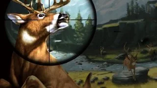 Deer Hunter