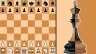 Chess with a computer